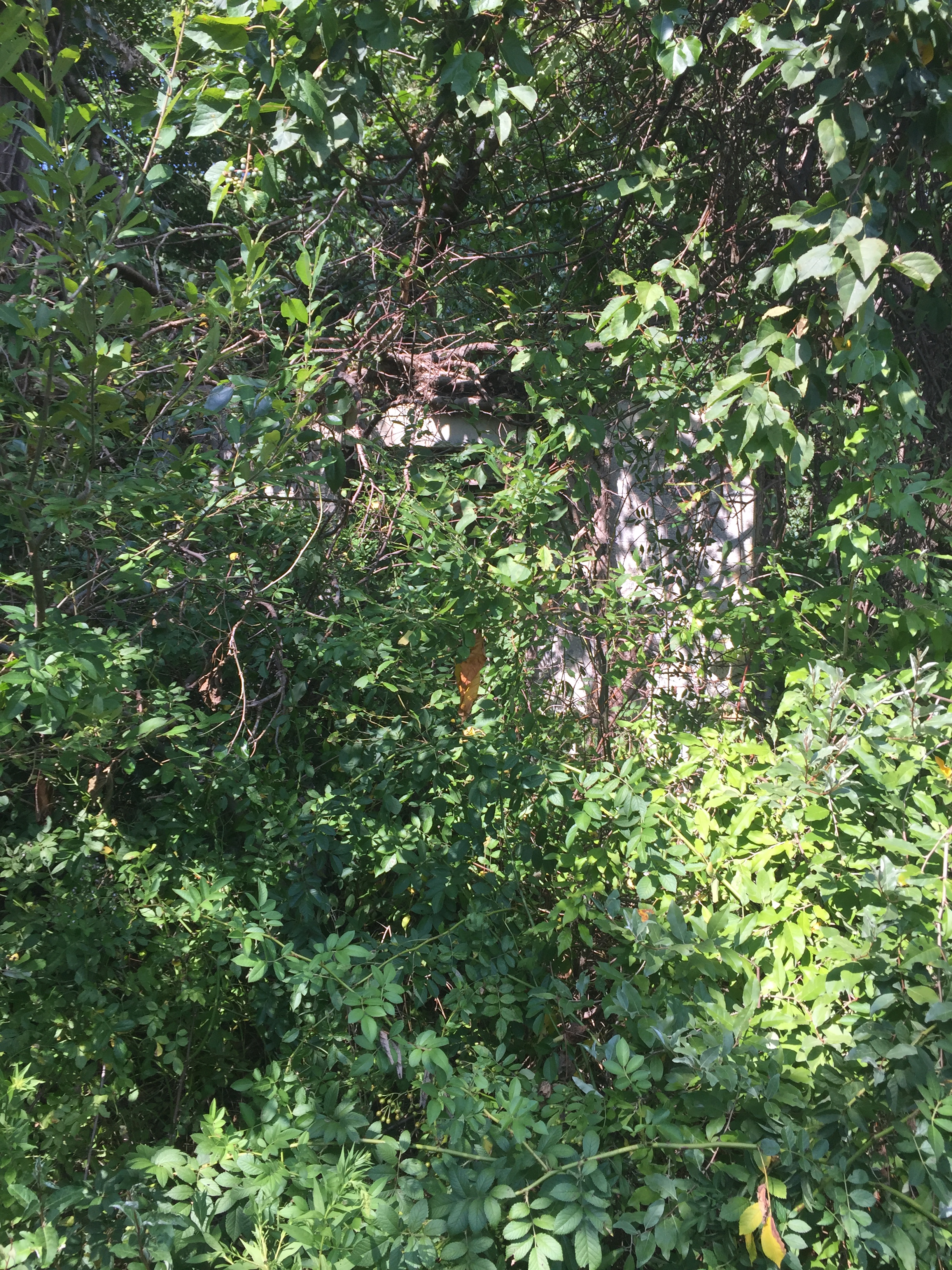 2020 Base Guardhouse